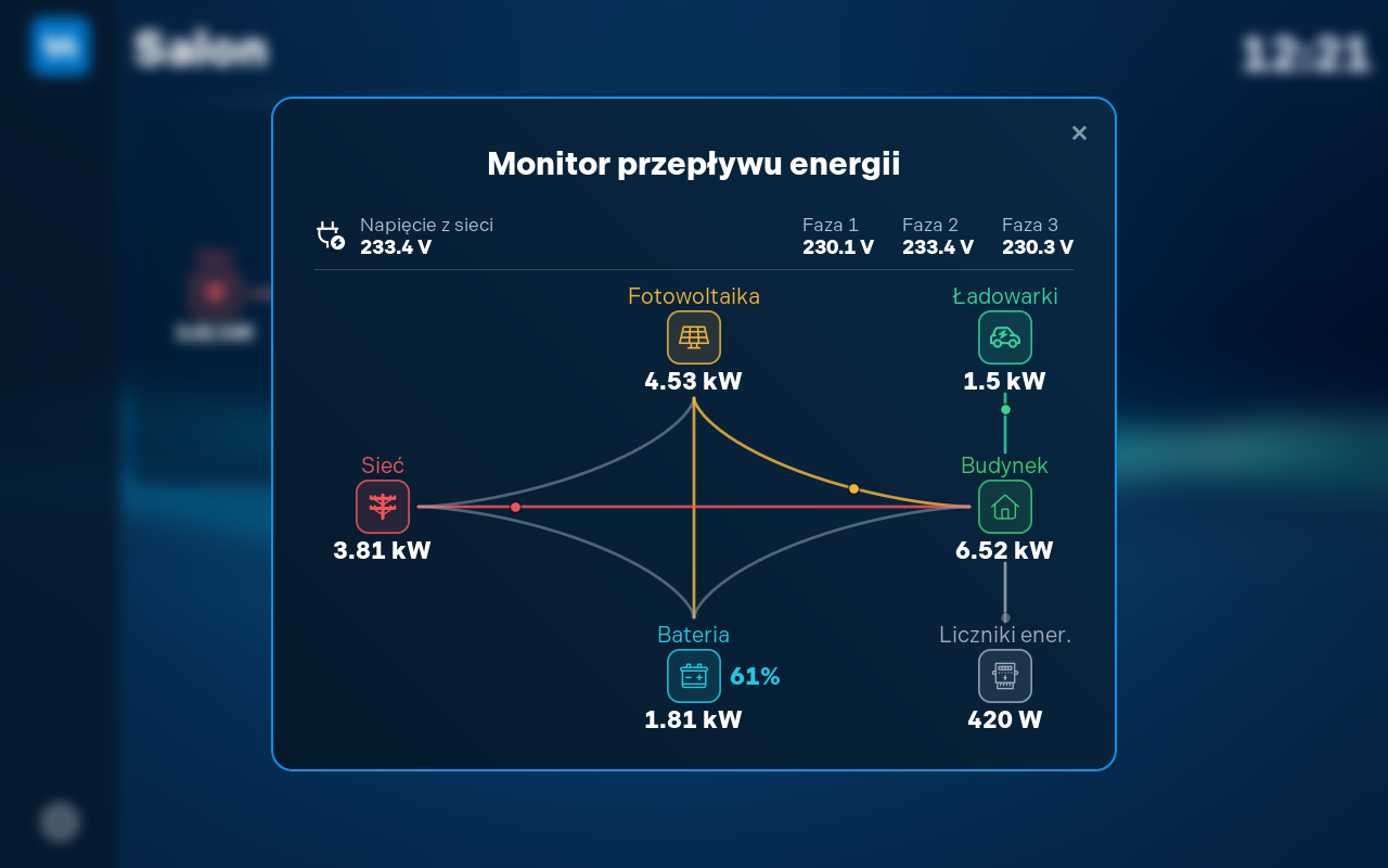 Monitor przepływu energii